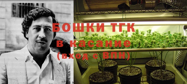 дурь Белокуриха