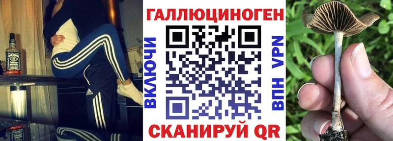 кракен tor  Тюкалинск  Псилоцибиновые грибы Cubensis  купить наркотик 
